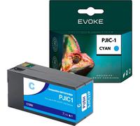Cartouche pour Epson PJIC1 ️️ Discproducer PP 100N11 PP 50II PP100II PP100III ️