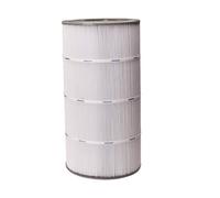 Cartouche SWIMCLEAR Mono-élément Hayward