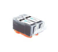 Cartouches d'encre noires compatibles Go Inks - 2 x 21 ml - remplace Canon PGI-520Bk pour PIXMA