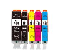 Cartouches d'encre PGI-480 CLI-481 Lot de 5, Compatible avec Canon | PIXMA TS8140 TS8240 TS9140, PGBK BK M C Y, encre à colorant(5pcs)