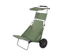 Caruba Pro Trolley I - Vert