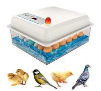 Carziyer 20 Oeufs Couveuse Oeuf Automatique pour Poules, Incubateur Oeuf, Contrôle de la température, Affichage de l'humidité, adapté aux œufs de poule, œufs de caille, œufs de canard