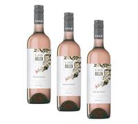 Casa Bollen - Syrah Rosé, vin rosé du Chili (1 x 0,75L) (Lot de 3)