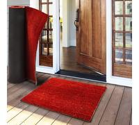 casa pura Paillasson d'entrée en Fibre de Coco Premium, Antidérapant, Tapis d'entrée Usage intensif, Tapis pour l'entrée Absorbant, Dense Velours Résistant (17 mm, 50 x 80 cm, Rouge)