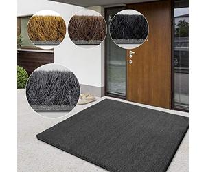 casa pura Paillasson d'entrée en Fibre de Coco Premium, Antidérapant, Tapis d'entrée Usage intensif, Tapis pour l'entrée Absorbant, Dense Velours Résistant (17 mm, 50 x 80 cm, Gris)