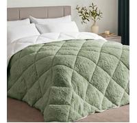 CASABEL Couette Polaire Hiver Ultra Chaude 600g/m² Réversible Douce et Moelleuse 2 Personnes 240x260cm Vert sauge