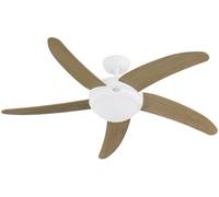 CasaFan 19176 Set de pales pour ventilateur de plafond Motif des ailes: érable, chêne (chaulé)