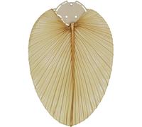 CasaFan Deckenventilator-Flügelsatz 132 PALME NATUR Set de pales pour ventilateur de plafond Motif des ailes: palmier (naturel)