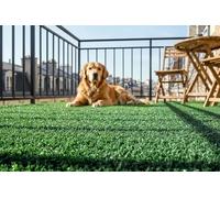 Casanoov Gazon Synthétique Orso 1x20 m 20 m² 7 mm Vert Polypropylène Design Moderne Résistant UV Chlore Haute Qualité Usage Terrasse Balcon Jardin Facile Pose Résistance Arrachement