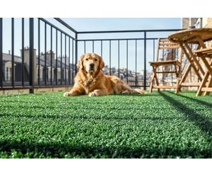Casanoov Gazon Synthétique Orso 1x20 m 20 m² 7 mm Vert Polypropylène Design Moderne Résistant UV Chlore Haute Qualité Usage Terrasse Balcon Jardin Facile Pose Résistance Arrachement
