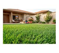 Casanoov gazon synthétique pelmo 1m x 10m - 20mm