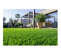 Casanoov gazon synthétique pelmo 1m x 5m - 30mm