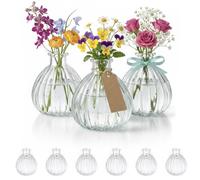 casavetro 6 Petit Vase Deco Table 200ml - Petit Vase en Verre Transparent - soliflore Verre Transparent - lot vases 200 ML pour Table Decoration
