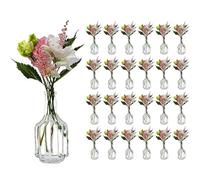 casavetro Halsi Lot de 24 petits vases en verre transparent Style maison de campagne vintage Vase décoratif