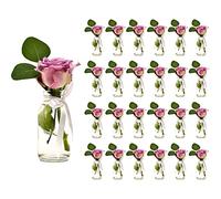 Casavetro Lot de 24 Petites Bouteilles en Verre avec nœud et nœud en Verre Transparent (TR - Milch)