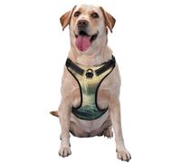 Cascades et brouillard dans un monde fantastique - Harnais de qualité supérieure pour chiens de petite, moyenne et grande taille - Durable, anti-traction avec sangles réfléchissantes et boucles à