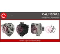 CASCO Générateur D'Alternateur 120A 12V pour Fiat Scudo Combi 1.9 D 2.1 Td