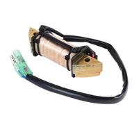CasdsDtub Bobine de stator d'excitation 9.9HP 15HP 18HP Compatible with M15D2 M9.9D M9.9D2 M18E2 NS9.9D NS9.9D2 NS15D NS15D2 NS18E NS18E2