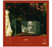 Casey - How To Disappear [Vinyl Lp] Clear Vinyl, Yellow