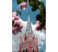 Cash Flow Compounding: The Art of Reinvesting Dividends for Maximum Gain