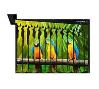 CashWall - Tirelire pour Toute l'année - Money Box | Tirelire Enfant & Tirelire Adulte | Tirelire Qui ne S'ouvre Pas - Economie Argent - Ouverture après Remplissage Complet | Tirelires décoratives