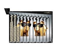 CashWall - Tirelire pour Toute l'année - Money Box | Tirelire Enfant & Tirelire Adulte | Tirelire Qui ne S'ouvre Pas - Economie Argent - Ouverture après Remplissage Complet | Tirelires décoratives