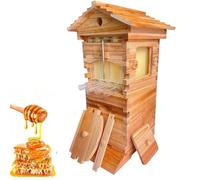 Cashwise Kit de démarrage pour Ruche à Flux continu, Comprenant 4 Cadres et 6 Plateaux à Miel, en Bois. Kit Complet pour l'apiculture de Petite Taille et Les pollinisateurs de Jardin