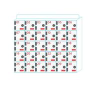 Casier de rangement mural pour téléphone - Armoire transparente à 30 emplacements avec serrure pour une gestion sécurisée du téléphone portable dans les écoles et les lieux de travail