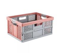 Keeeper Casier Pliant Professionnel avec Poignées Souples, 48,5 x 35 x 23,5 cm, 32 l, Lea, Nordic Red