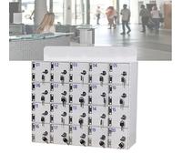 Casier de rangement pour téléphone portable avec serrures de porte et clés, idéal pour salle de sport, salle de classe, usine, piscine, divers rangement sécurisé pour téléphone portable prêt à