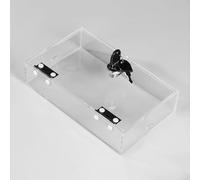 Casier de téléphone transparent pour smartphone avec 2 clés, boîte de prison portable haute définition pour bureau, salle de sport, école