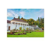 Casino de Baden-Baden, Allemagne，1000 Pièces Puzzle Adulte Puzzle Artisanat Cadeau Classique Jouet en Papier Cadeau Unique Décoration Intérieure（50x70cm）-N35
