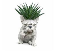 CASOME Pot De Fleurs Amusant en Forme De Bouledogue Français, Jardinière Créative en Forme De Chien, Statue Décorative De Jardin Pleine D'attitude, Contenant Unique pour Plantes D'extérieur(A)