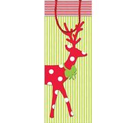 Caspari Entertaining with 9656B4 Sac pour Bouteille Motif aurores boréales Multicolore 14 x 8,9 x 33 cm