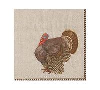 Caspari Turkey Thomas T. Byrd Luncheon Napkins, Pack of 20