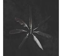 Caspian - Dust and disquiet