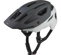 Casque Alpina Rootage 2 (x2) Gris