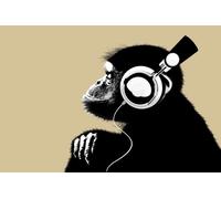 Casque d'écoute MB 46 The Chimp Bonobo