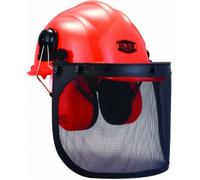 Casque forestier complet