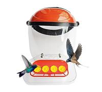 Casque Mangeoire pour Oiseaux-Mouches, Distributeur Réglable pour Petits Oiseaux-Mouches, Protège-Visage à 4 Ports d'alimentation pour Jardin Terrasse Balcon Fenêtre Extérieure