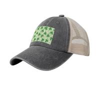 Casquette Baseball La Saint-Patrick Baseball Cap pour Outdoor Cap | Casquette Baseball Confortable Casual Réglable Casquettes Sport Pour Camping Randonnée Basecap