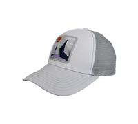 Casquette bv sport trucker trek summit dolomites gris