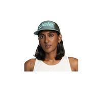 Casquette ciele gocap comp century silver pine seaweed