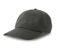 Casquette de baseball 6 pans Atlantis Headwear Dad Hat-S Gris TU
