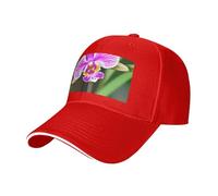 Casquette de baseball à imprimé orchidée, style classique, respirant, taille réglable, Rouge, taille unique