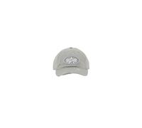 Casquette de baseball Alpha Industries World Acid Gris TU