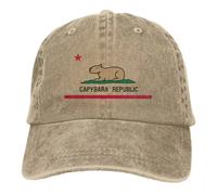 Casquette de Baseball Capybara Drapeau décontracté Land Version Hommes réglable décontracté Coton Soleil Papa Unisexe