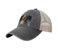 Casquette de baseball de cowboy avec dos en maille, réglable, casquette de plage Golden Retriever pour homme et femme, Deep / Chiné, XL (taille unique)
