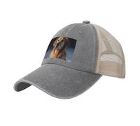 Casquette de baseball de cowboy avec dos en maille, réglable, casquette de plage Golden Retriever pour homme et femme, Gris, One Size-X-Large