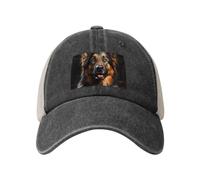 Casquette de baseball en maille de cowboy berger allemand, chapeau polo, camionneur, style unisexe, snapback réglable, hommes et femmes, noir, noir, Taille unique